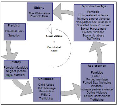 10 Age Girls Sex - The Life Cycle and Violence